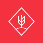 352194041_993355005185924_7386227485475410015_n