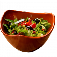 Saladier بديل الفخار