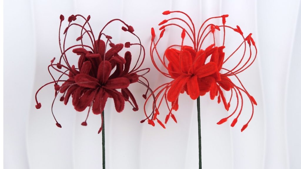 Spider Lily flowers
