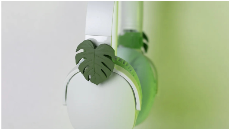 Monstera