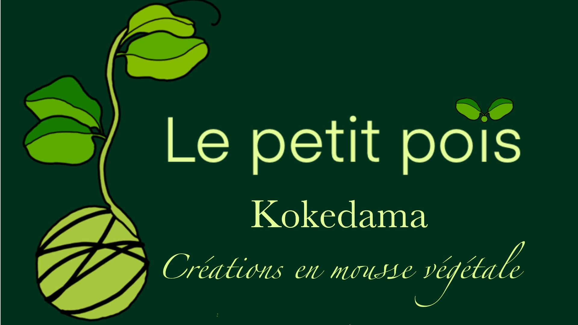 Le Petit Pois – Koke