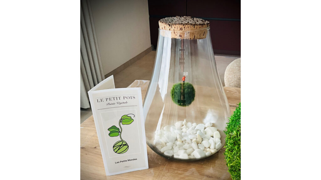 Objet décoratifs en mousse végétale vivante.