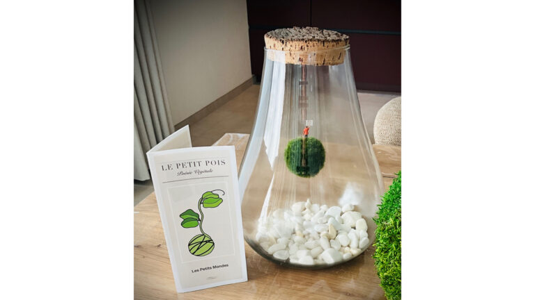 Objet décoratifs en mousse végétale vivante.