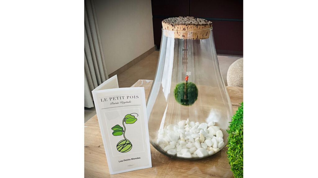 Objet décoratifs en mousse végétale vivante.