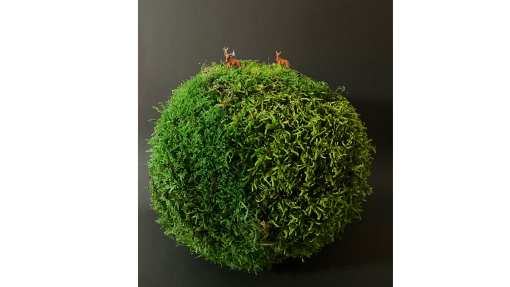 Les Petits,Mondes en mousse stabilisée