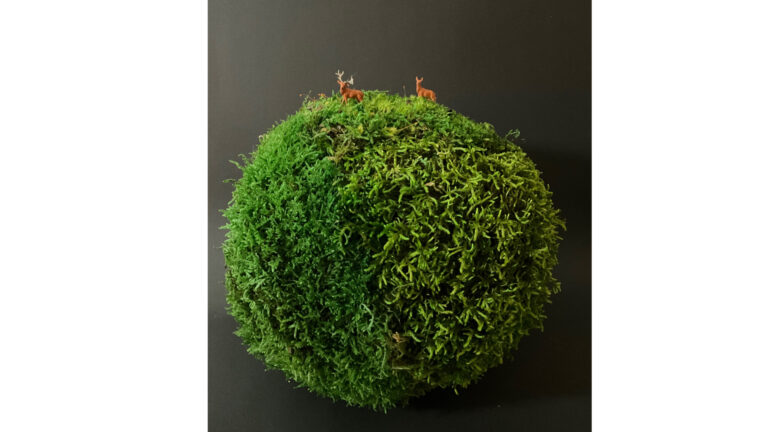 Les Petits,Mondes en mousse stabilisée