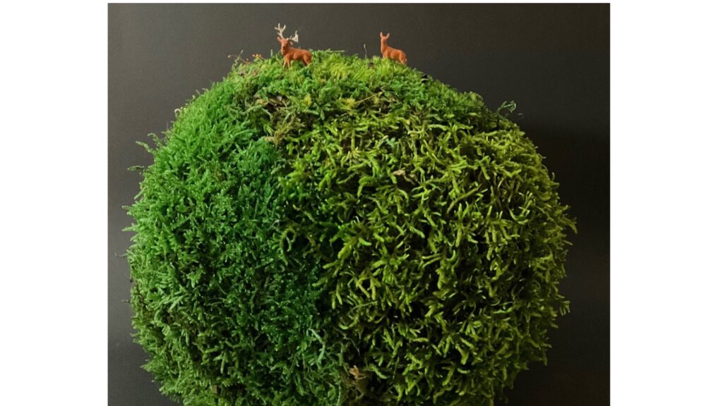 Les Petits,Mondes en mousse stabilisée