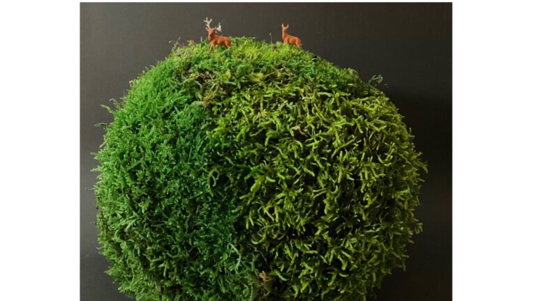 Les Petits,Mondes en mousse stabilisée