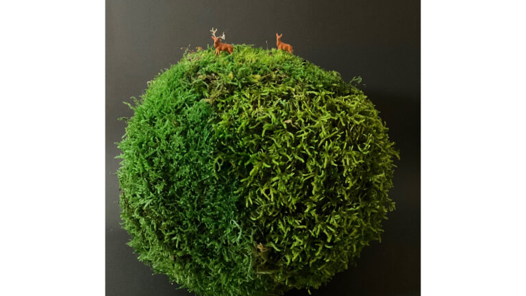 Les Petits,Mondes en mousse stabilisée