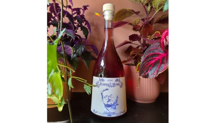 Blueberry Mead Large