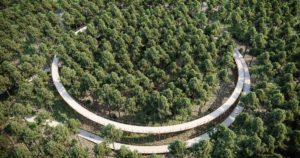 FIETSEN DOOR DE BOMEN EN VECTORWORKS NATUURLIJK