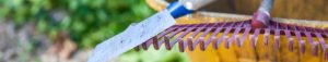 Traject aankomend hovenier