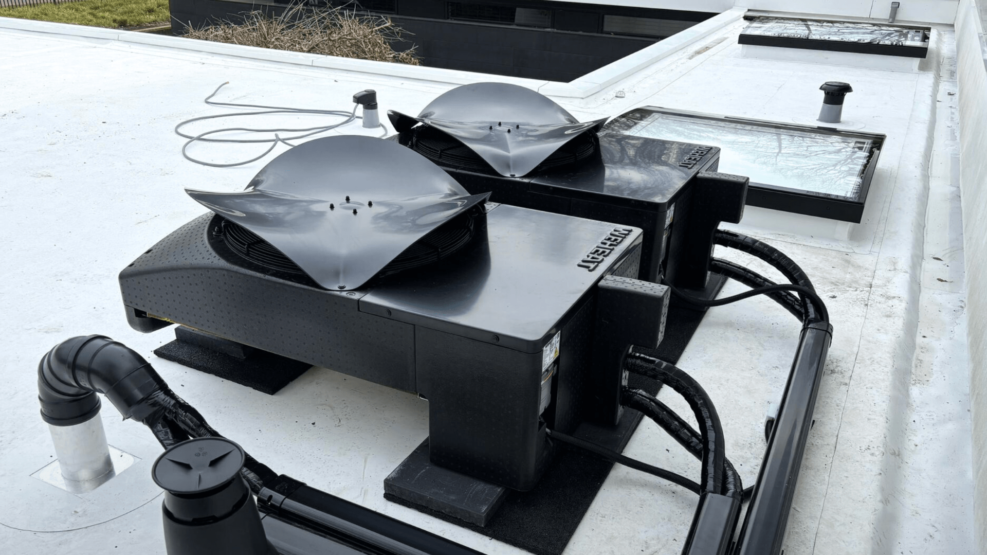 “We doen dit samen” – waarom De Groene Generatie kiest voor Weheat