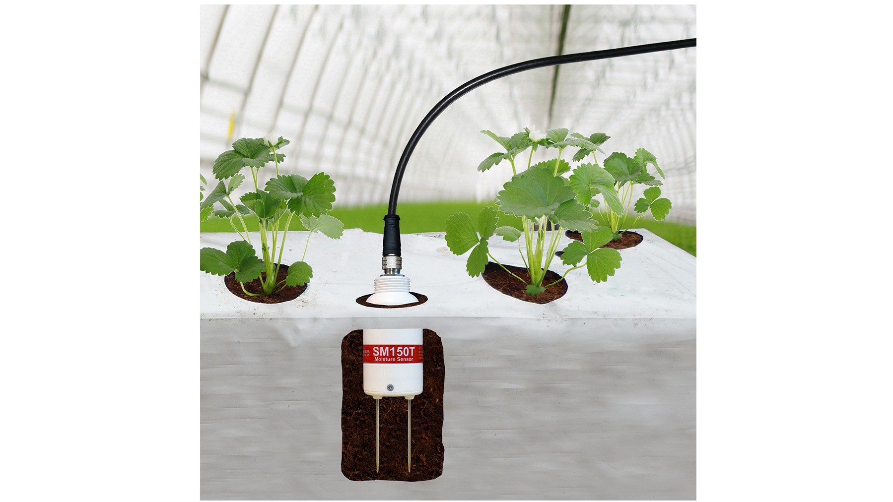 De SM150T bodemvochtsensor