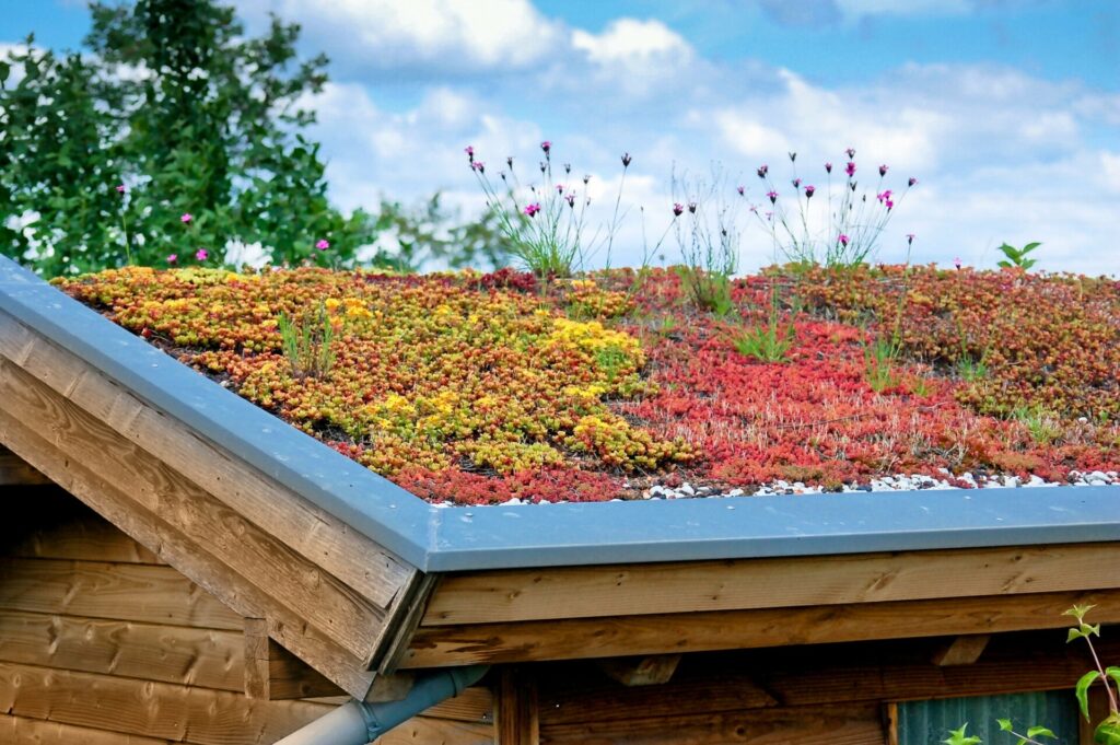 Groen sedumdak met roze bloemen op houten gebouw