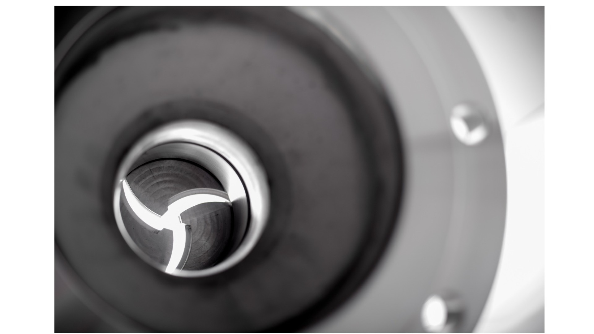 The new way of controlling the flow: Dilating Disc Valve