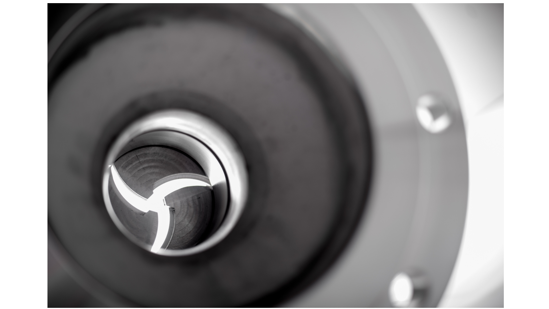 The new way of controlling the flow: Dilating Disc Valve