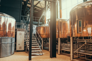 Screenshot 2024-12-13 at 9.45.06 AM