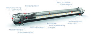 LED LIGHTS LEX-350