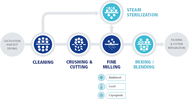 High-tech solutions that preserve spice characteristics in food processing