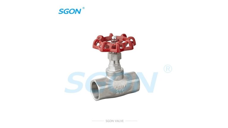 Globe Valve