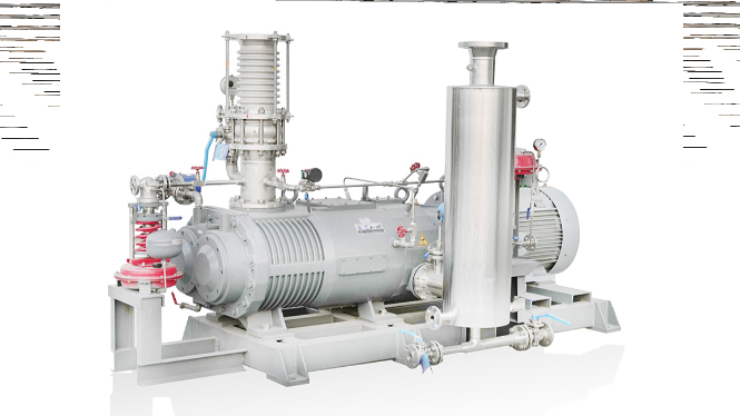 P series dry screw vacuum pump