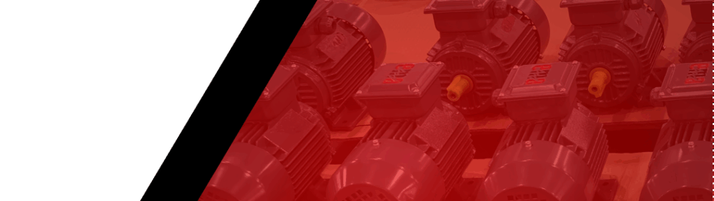 Electric Motors Amsterdam B.V.