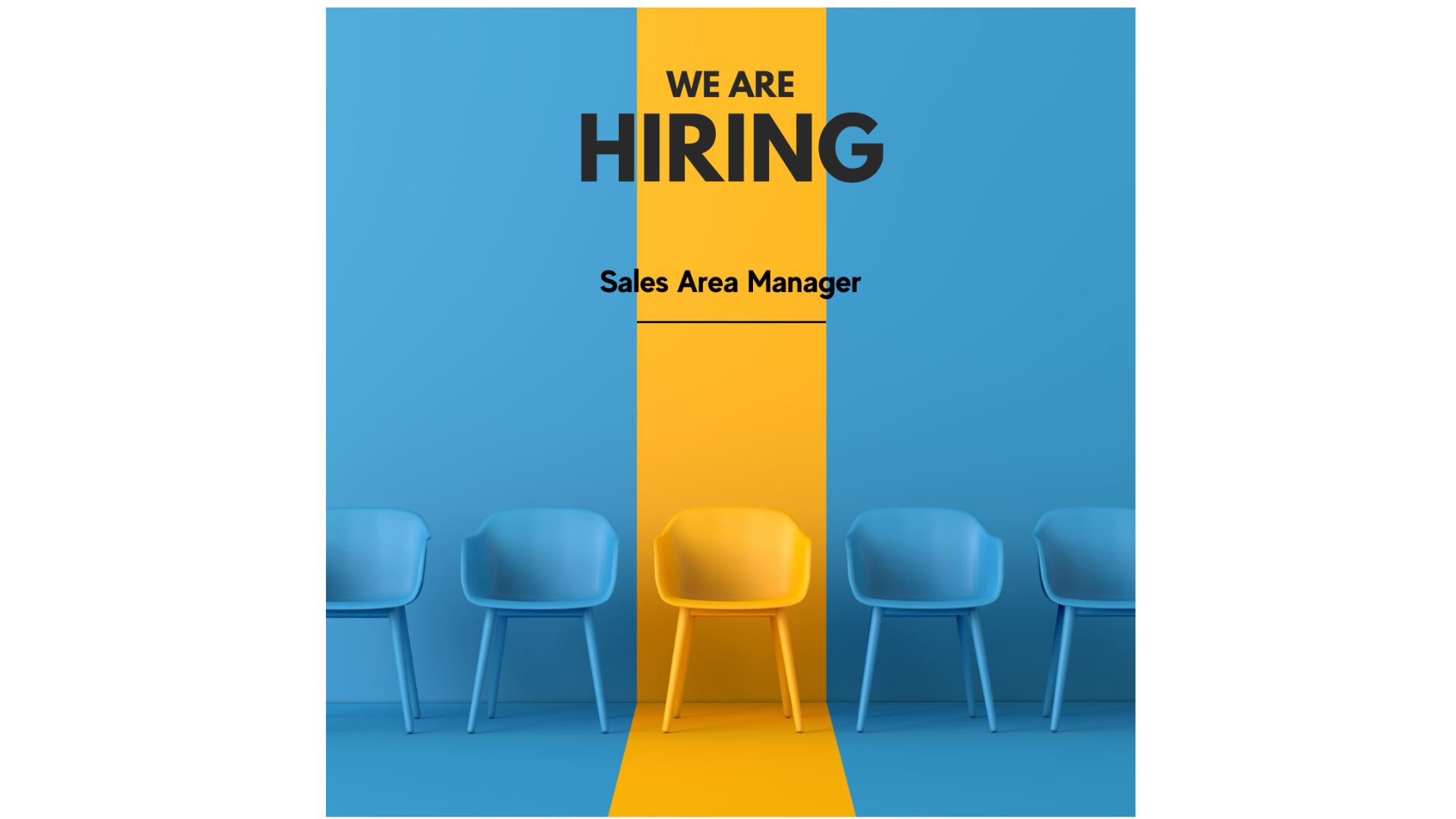 Sales Area Manager