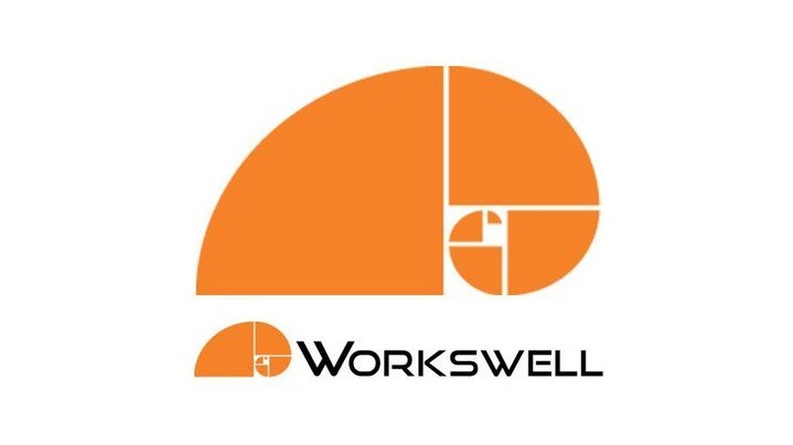 Workswell: Thermal cameras and infrared imaging systems