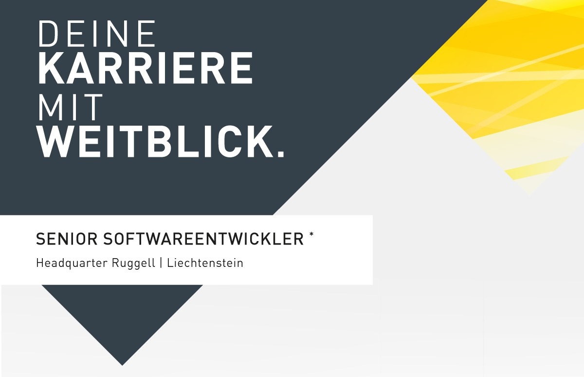 SENIOR SOFTWARE ENTWICKLER*