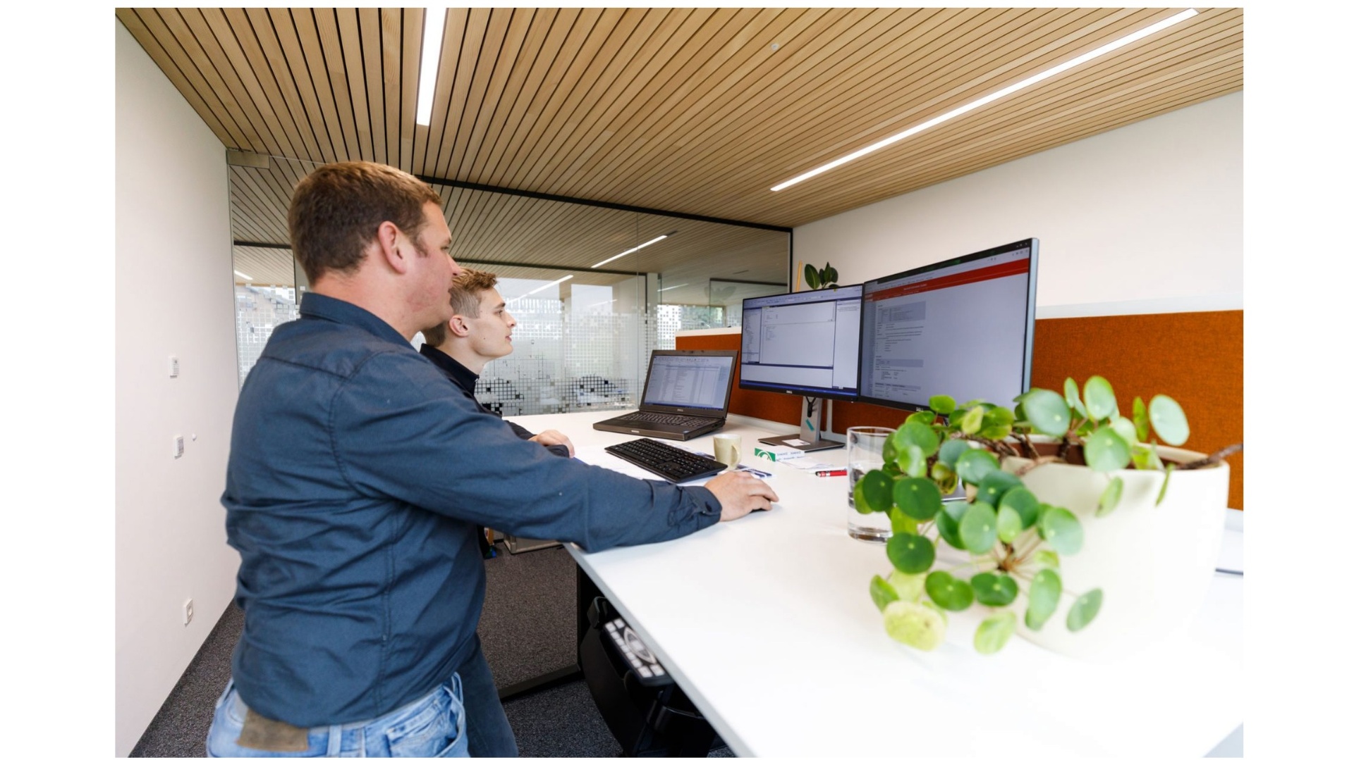 Software-Entwicklung