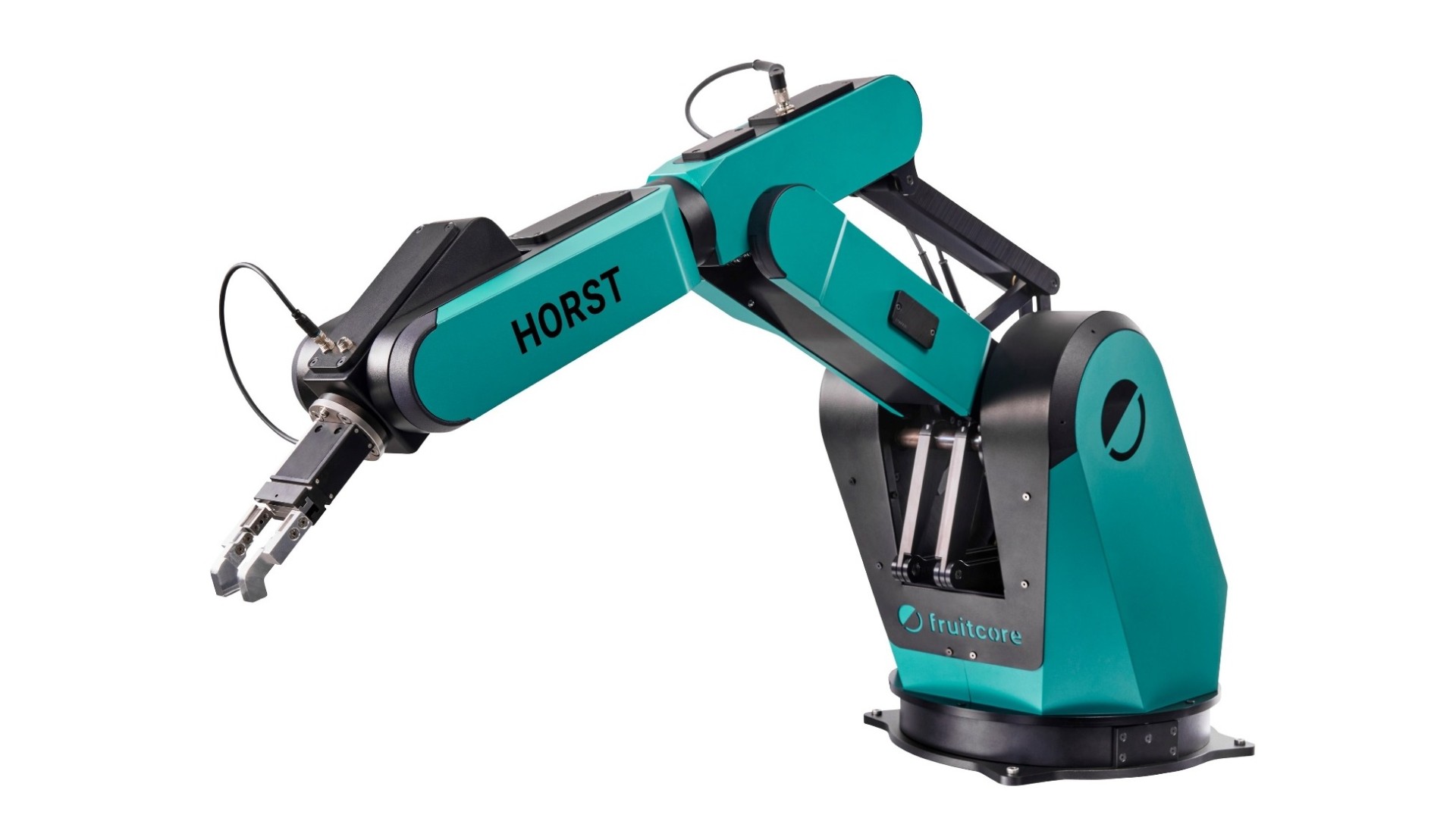 Digital Robot HORST1000