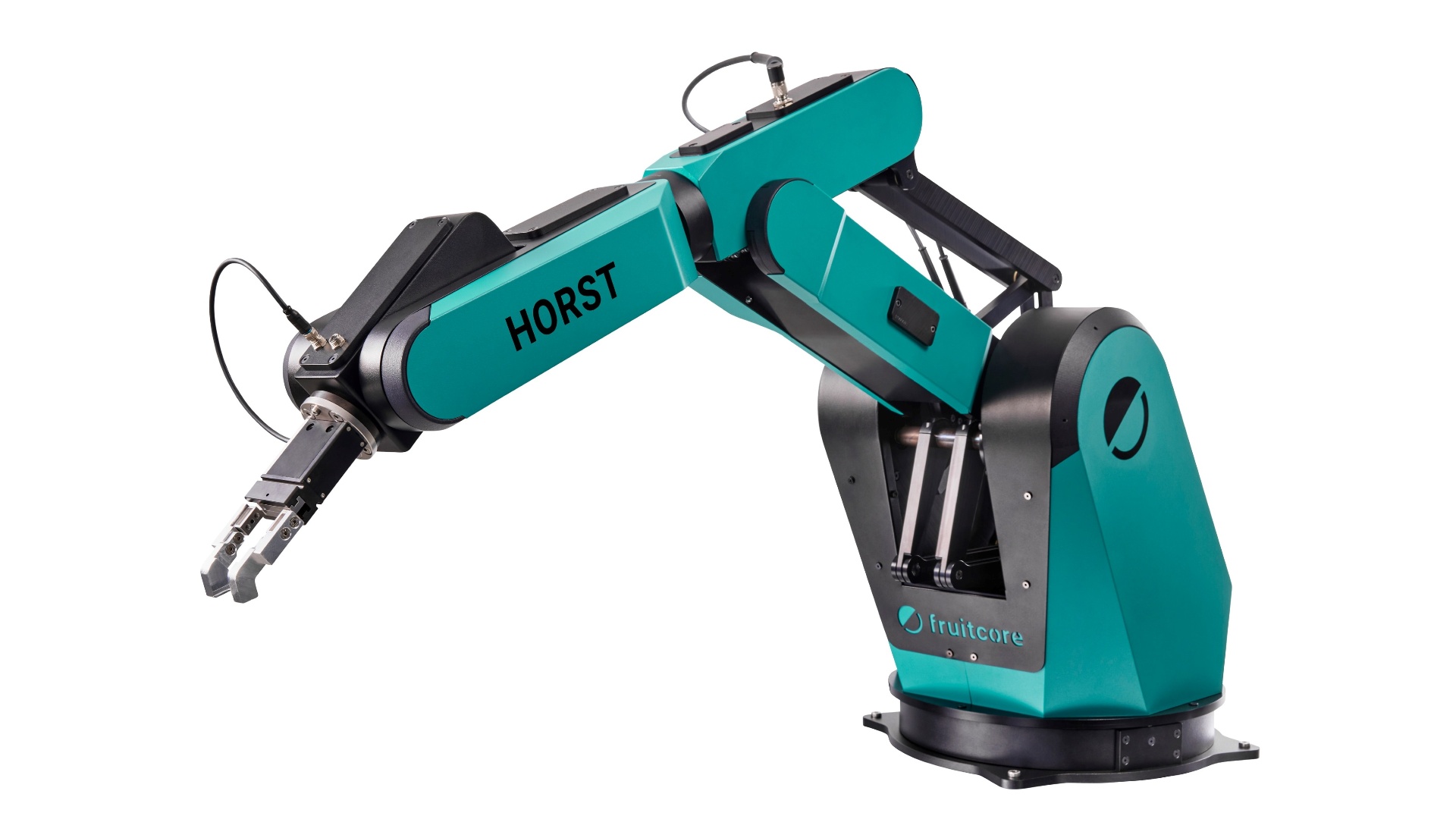 Digital Robot HORST1000