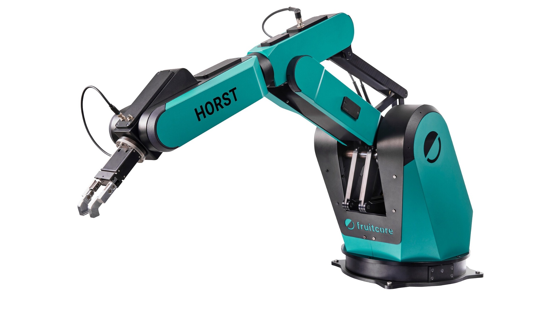 Digital Robot HORST900
