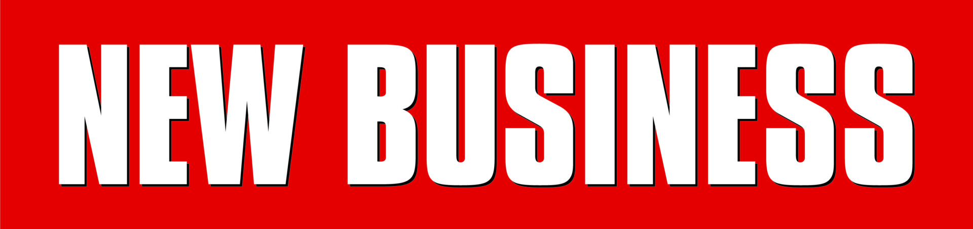 NEW BUSINESS LOGO