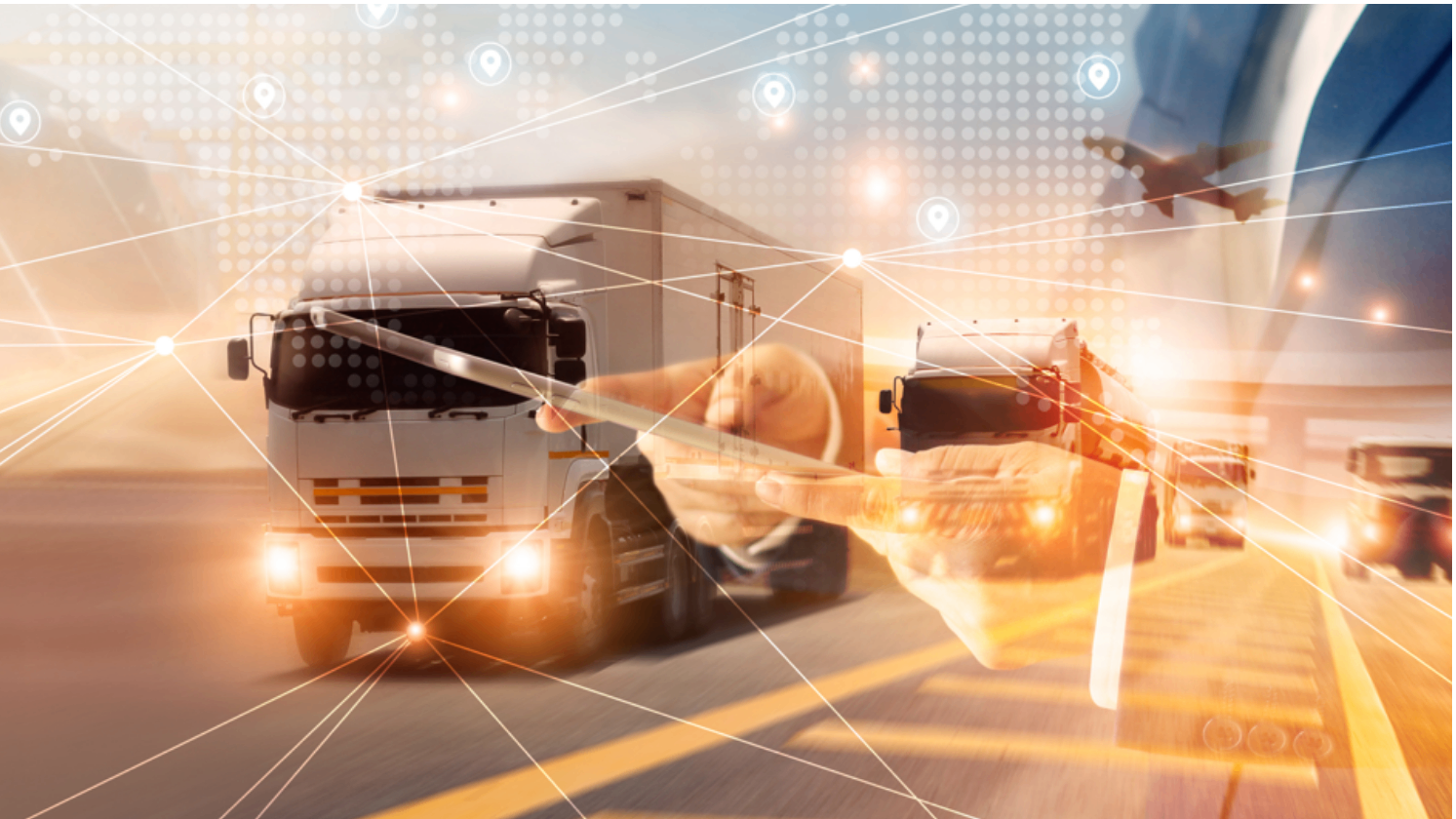 pLG Transport Management System