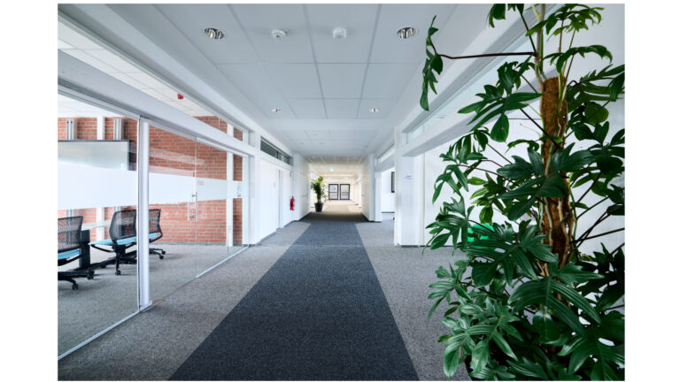 MINERALE Plafondoplossingen