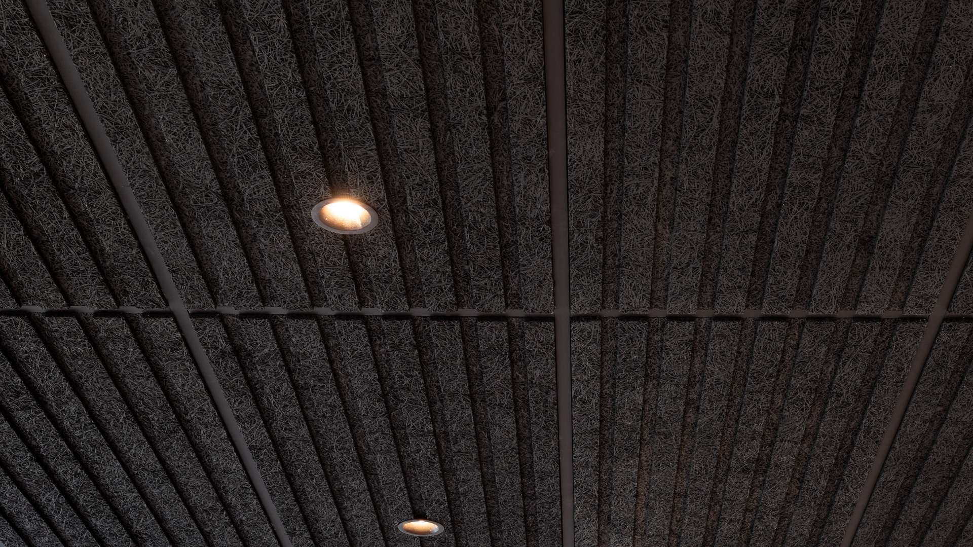 Troldtekt Tiles T24