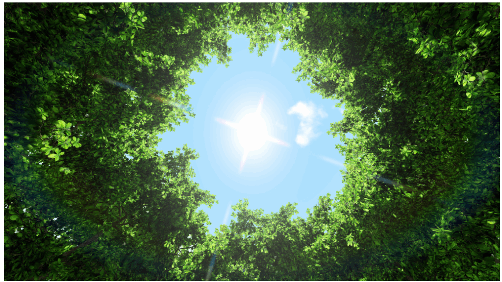 Notre responsabilité pour la planète