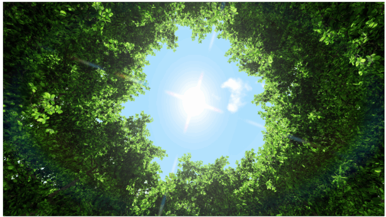 Notre responsabilité pour la planète