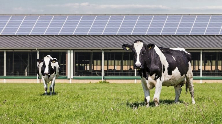 Bouw met ons aan een veilig bedrijf!