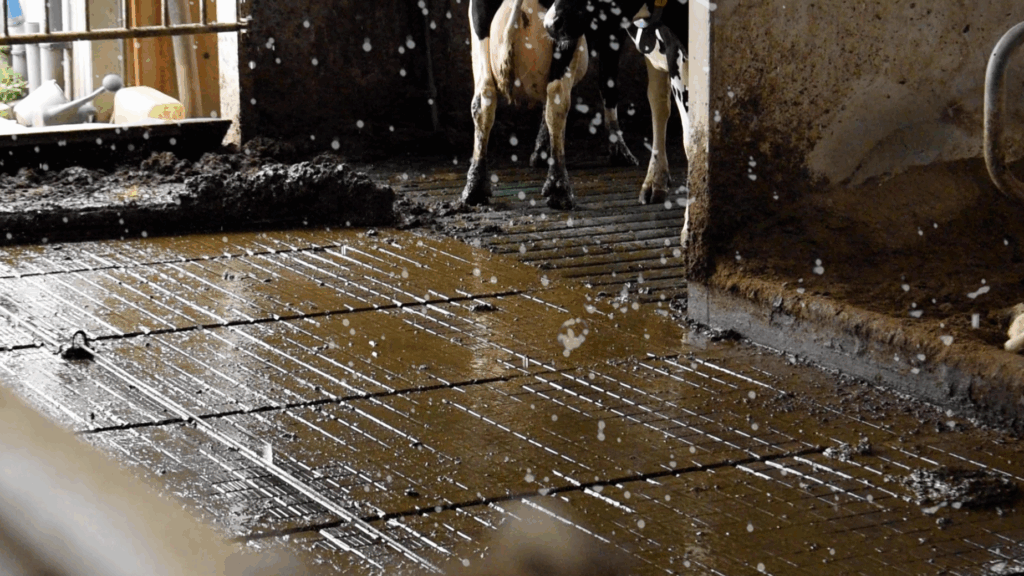 Spaltenboden Befeuchtung