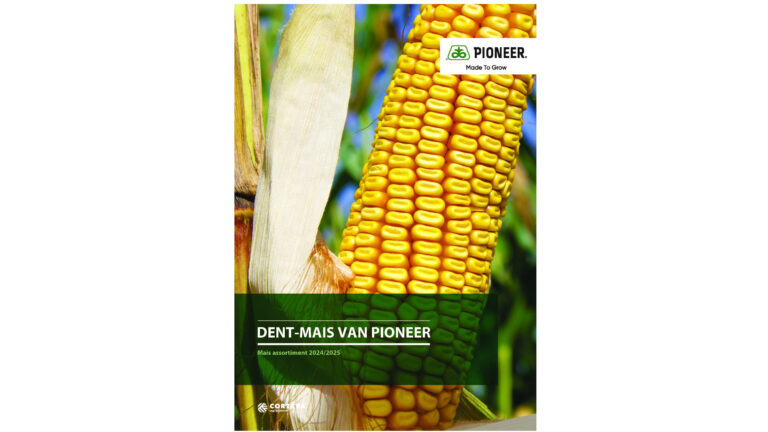 Pioneer – Innovatief in dent-mais