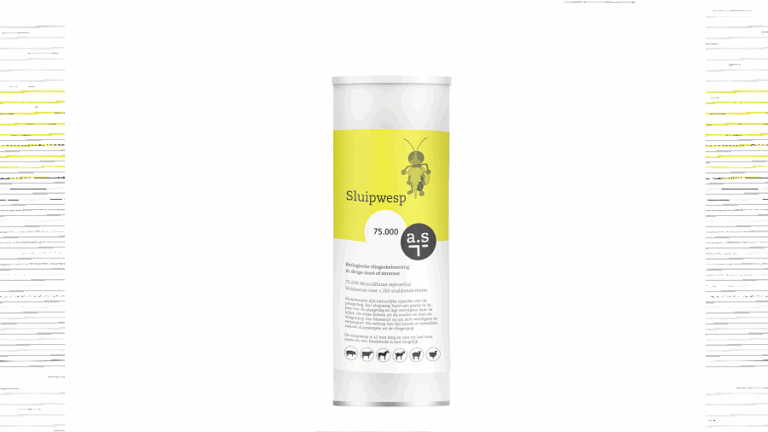 a.s Sluipwespen