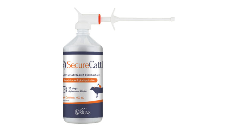 SecureCattle: van stress naar succes!