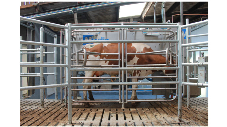 M2erlin Milchroboter