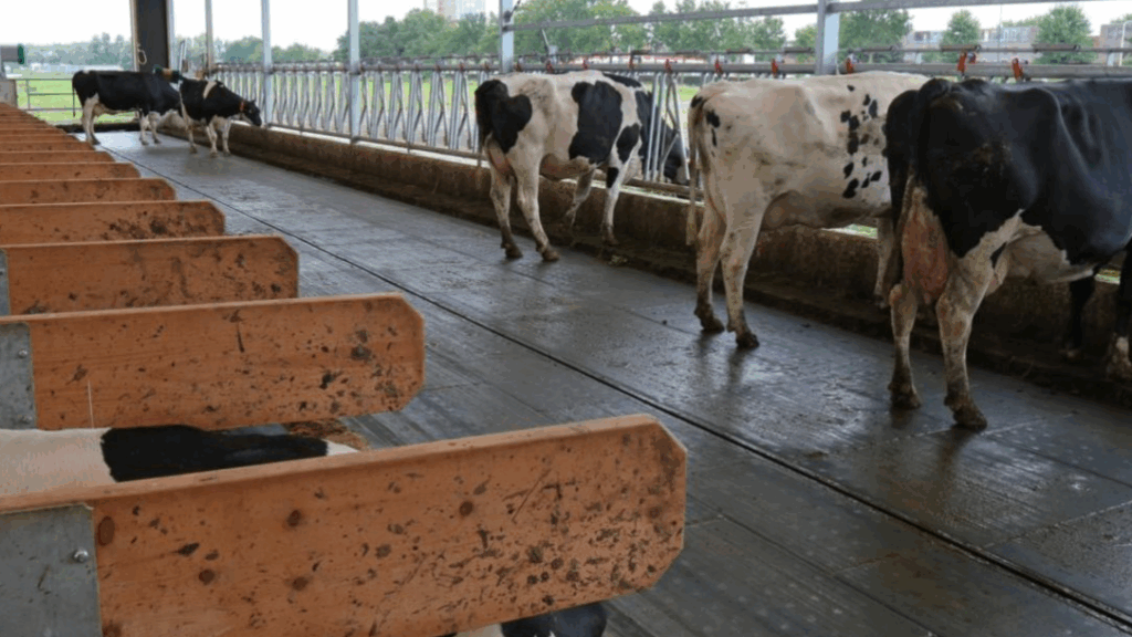 Stalinrichting Greutink Staltechniek Lochem