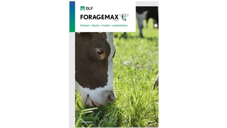 DLF – ForageMax Brochure 2025