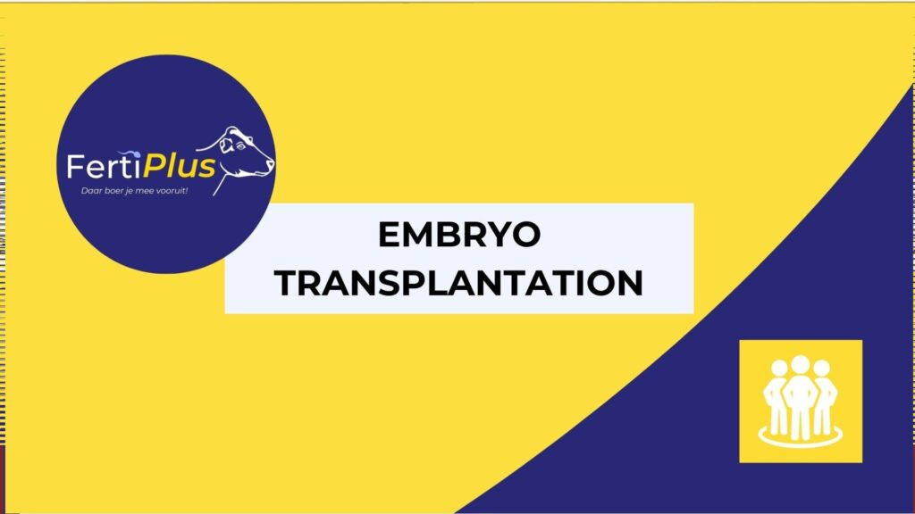 Embryo Transplantation