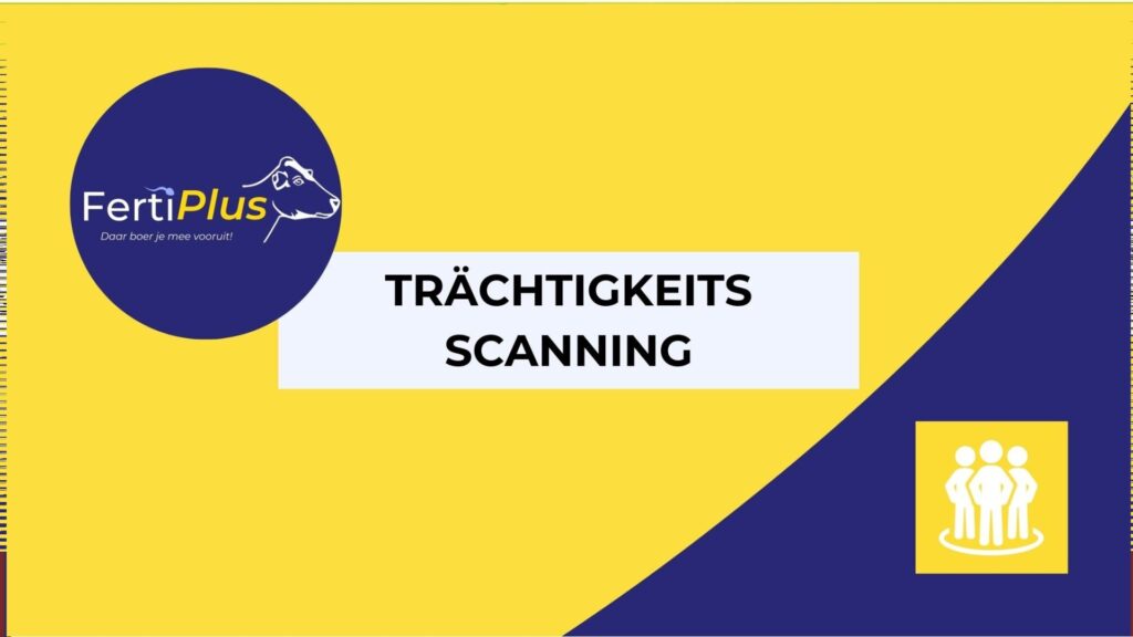 Trächtigkeitsscanning